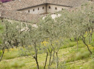 Bild 23889 von Haus I Cappuccini