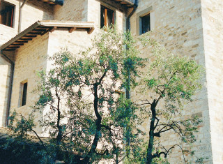 Bild 23891 von Haus I Cappuccini