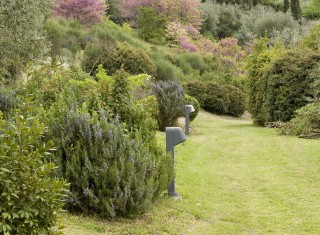 Bild 23939 von Haus I Cappuccini