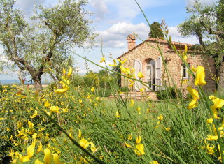 Bild 24192 von Haus Relais San Sanino