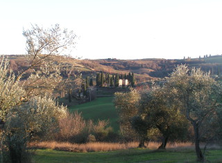 Bild 24197 von Haus Relais San Sanino