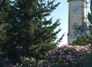 Bild 24212 von Haus Asilo Masi