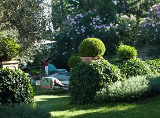 Bild 24225 von Haus Asilo Masi