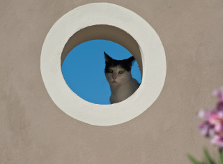 Bild 24231 von Haus Asilo Masi