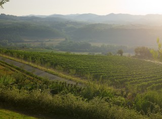 Bild 24300 von Haus Hotel Le Fontanelle