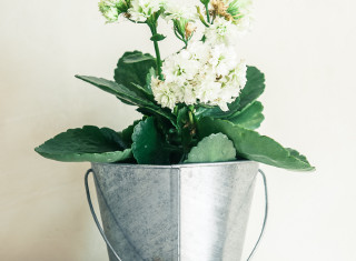 Bild 24407 von Haus Nikis Resort