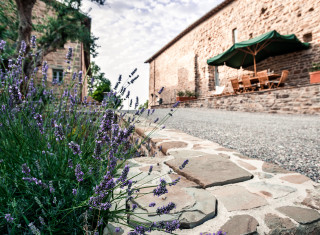 Bild 24455 von Haus Nikis Resort