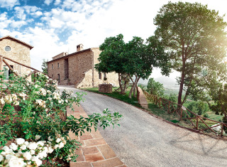 Bild 24456 von Haus Nikis Resort