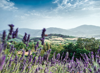 Bild 24459 von Haus Nikis Resort