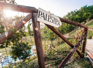 Bild 24464 von Haus Nikis Resort