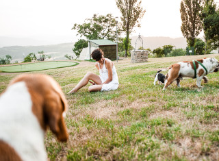 Bild 24469 von Haus Nikis Resort