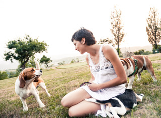 Bild 24470 von Haus Nikis Resort