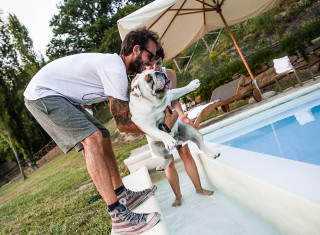 Bild 24473 von Haus Nikis Resort