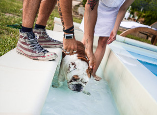 Bild 24476 von Haus Nikis Resort