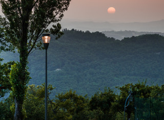 Bild 24477 von Haus Nikis Resort