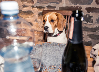 Bild 24483 von Haus Nikis Resort