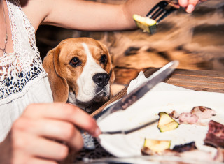 Bild 24484 von Haus Nikis Resort