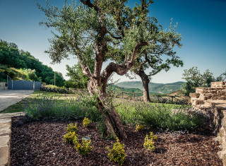 Bild 24491 von Haus Nikis Resort