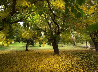 Bild 24551 von Haus Borgo della Marmotta