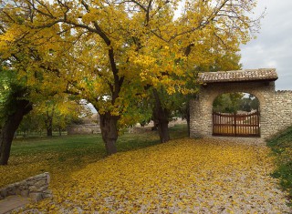 Bild 24552 von Haus Borgo della Marmotta