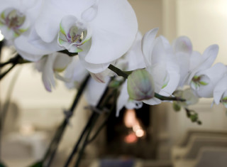 Bild 24694 von Haus Albergo al Sole